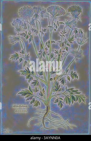 Eine botanische Illustration mit einer hohen Pflanze mit zarten Blüten auf schlanken Stielen, begleitet von komplexen Blattmustern und detaillierten Wurzeln, alle mit lebhaften Farben und künstlerischen Verzierungen. Blatt aus dem Neuen Kreuterbuch von Leonhart Fuchs, Platte 97 aus Holzschnitten aus Büchern des XVI Jahrhunderts, 1543, zusammengefügt zu Portfolio 1937, zugeschrieben Heinrich Füllmaurer (Schweizer, aktiv 1520-1545), zusammengesetzt von Max Geisberg (Schweiz, 1875-1943), Schweiz, Holzschnitt auf Papier, 329 x 201 mm (Bild), 352 x 233 mm (Blatt) Klassische Kunst mit modernem Twist von Artotop neu interpretiert Stockfoto