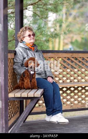 Seniorin im warmen Mantel sitzt mit niedlichem Hund auf Holzbank im Pavillon, genießt friedliche Momente im Park, zeigt ruhigen Lebensstil, Wärme und menschliche... Stockfoto