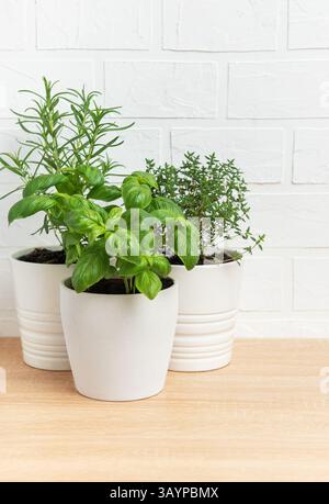 Aromatische Kräuter wie Basilikum, Rosmarin und Thymian gedeihen in weißen Töpfen auf einem Holztisch vor einer weißen Ziegelwand und schaffen eine frische und einladende Küche Stockfoto