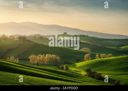 Sonnenuntergang über der Landschaft von Orciano Pisano im Frühling. Sanfte Hügel und Bäume in Colline Pisane, Provinz Pisa, Toskana, Italien Stockfoto