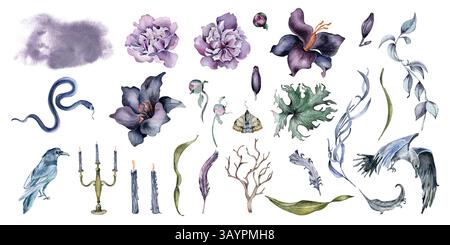 Dunkel-gotischer Blumenschnitt aus schwarzem Raben, Schlangen, Kerzen und Vintage-Kandelaber isoliert. Handgezeichnete Aquarellpfingstrosen, Irisblumen, Laub und Stockfoto