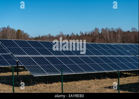 Reihen von Solarpaneelen an Land mit klarem blauem Himmel am Nachmittag. Stockfoto