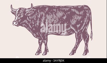 Kuh, Stier, Rindfleisch. Vintage-Retro-Druck Stock Vektor