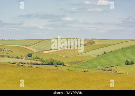 Blick nach Norden vom Cissbury Ring über Stump Bottom und Canada Bottom im South Downs National Park, West Sussex, Großbritannien. Stockfoto