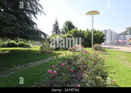 Rosengarten im Sommer, Stadt Saint Dié des Vosges, Departement Vogesen, Frankreich Stockfoto