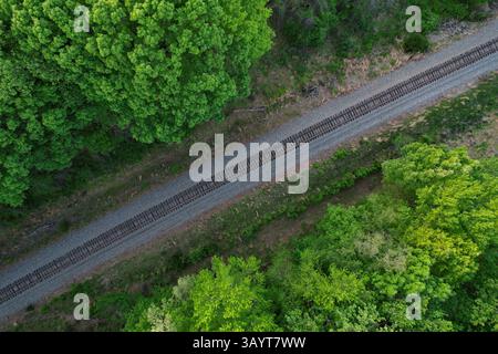 Blick von oben nach unten auf Eisenbahngleise, umgeben von dichtem Baumbestand Stockfoto