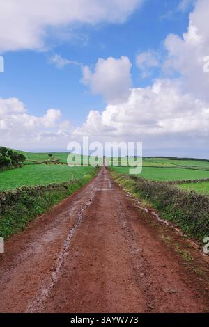 Malerischer Weg durch üppige grüne Weiden von Sao Jorge, Azoren, Portugal. Idyllische ländliche Landschaft mit einer Dirt Road, die sich durch das lebhafte Green F zieht Stockfoto