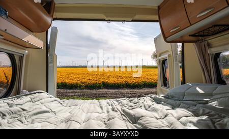 Erleben Sie die Schönheit von Flevoland im Frühling, wo sich lebhafte Tulpenfelder endlos unter einem klaren Himmel erstrecken. Ein gemütlicher Wohnmobil ist der perfekte Ort, um diese farbenfrohe Landschaft zu genießen. Stockfoto