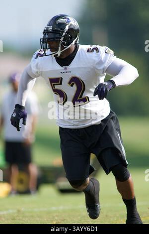 August 2009 - Westminster, Maryland, USA S - 11. August 2009: Baltimore Ravens Linebacker Ray Lewis während des Baltimore Ravens Trainingslagers 2009 am Mc Daniels College in Westminster, Maryland (Bild: © Southcreek Global/ZUMApress.com) Stockfoto