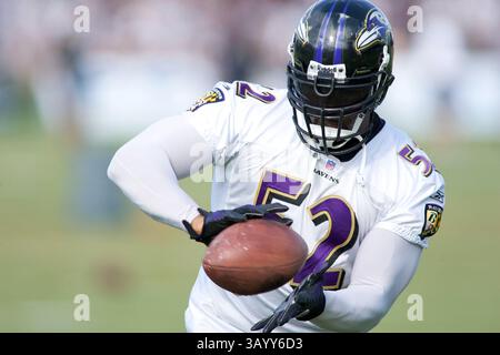 August 2009 - Westminster, Maryland, USA S - 11. August 2009: Baltimore Ravens Linebacker Ray Lewis während des Baltimore Ravens Trainingslagers 2009 am Mc Daniels College in Westminster, Maryland (Bild: © Southcreek Global/ZUMApress.com) Stockfoto