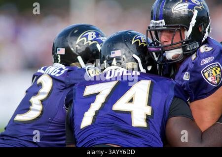 August 2009 - Westminster, Maryland, USA S - 11. Aug. 2009: Baltimore Ravens kämpfen gegen Micheal Oher und Joe Reitz während des Baltimore Ravens 2009 Trainingslagers am Mc Daniels College in Westminster, Maryland (Bild: © Southcreek Global/ZUMApress.com) Stockfoto