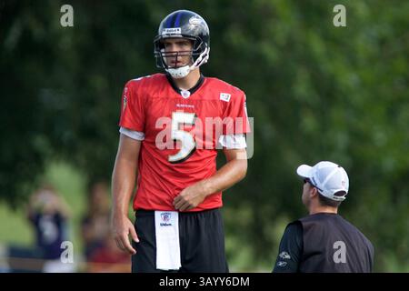 August 2009 - Westminster, Maryland, USA S - 11. August 2009: Baltimore Ravens Quarterback Joe Flacco während des Baltimore Ravens Trainingslagers 2009 am Mc Daniels College in Westminster, Maryland (Bild: © Southcreek Global/ZUMApress.com) Stockfoto