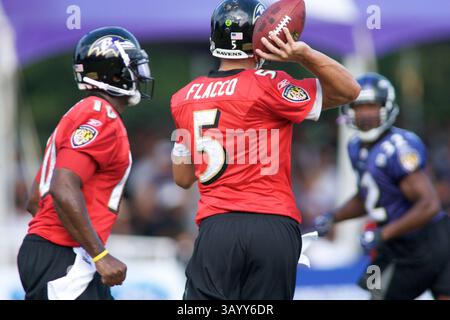 August 2009 - Westminster, Maryland, USA S - 11. August 2009: Baltimore Ravens Quarterback Joe Flacco während des Baltimore Ravens Trainingslagers 2009 am Mc Daniels College in Westminster, Maryland (Bild: © Southcreek Global/ZUMApress.com) Stockfoto
