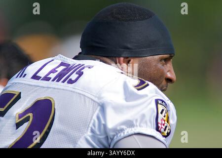 August 2009 - Westminster, Maryland, USA S - 11. August 2009: Baltimore Ravens Linebacker Ray Lewis während des Baltimore Ravens Trainingslagers 2009 am Mc Daniels College in Westminster, Maryland (Bild: © Southcreek Global/ZUMApress.com) Stockfoto