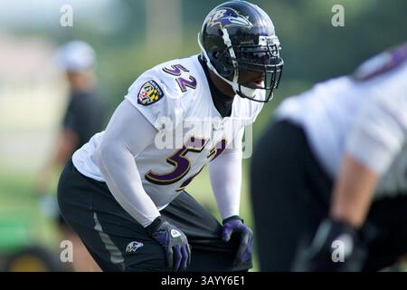 August 2009 - Westminster, Maryland, USA S - 11. August 2009: Baltimore Ravens Linebacker Ray Lewis während des Baltimore Ravens Trainingslagers 2009 am Mc Daniels College in Westminster, Maryland (Bild: © Southcreek Global/ZUMApress.com) Stockfoto
