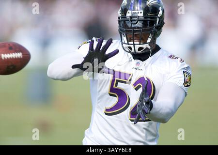August 2009 - Westminster, Maryland, USA S - 11. August 2009: Baltimore Ravens Linebacker Ray Lewis während des Baltimore Ravens Trainingslagers 2009 am Mc Daniels College in Westminster, Maryland (Bild: © Southcreek Global/ZUMApress.com) Stockfoto