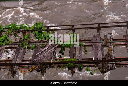 Pflanzen, die über einer baufälligen Holzbrücke gedeihen, mit gebrochenen Dielen und rostigen Metallgeländern, Stockfoto