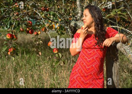 Eine Frau genießt die Schönheit der Natur, während sie ein atemberaubendes rotes Kleid unter Apfelbäumen trägt Stockfoto
