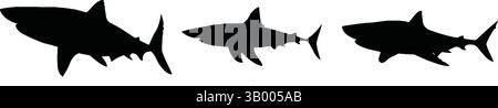 Drei Hai-Silhouetten hintereinander vor weißem Hintergrund, die verschiedene Positionen und Positionen der Haie zeigen Stock Vektor