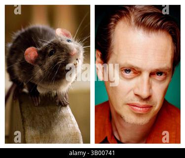 Januar 2007 - K51214ES." CHARLOTTE'S WEB ''. TV-FILM-STILL. 2006. Steve Buscemi (rechts) spricht Templeton im Ã’CharlotteÃs Web. (Kreditbild: © Globe Photos/ZUMApress.com) Stockfoto