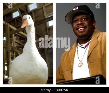 Januar 2007 - K51214ES." CHARLOTTE'S WEB ''. TV-FILM-STILL. 2006.Cedric der Entertainer stimmt Golly im Ã’CharlotteÃs Web. (Kreditbild: © Globe Photos/ZUMApress.com) Stockfoto