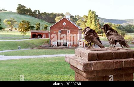 Januar 2007 - K51214ES." CHARLOTTE'S WEB ''. TV-FILM-STILL. 2006.Thomas Haden Church (links) spricht Brooks und AndrÅ½ Benjamin (rechts) als Elwyn in Ã’CharlotteÃs Web. (Kreditbild: © Globe Photos/ZUMApress.com) Stockfoto