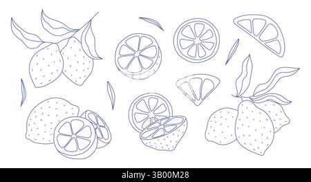 Symbole für Zitronenlinien setzen die Vektorillustration. Stock Vektor