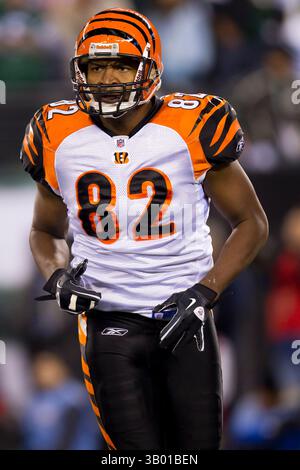 25. November 2010: Cincinnati Bengals Tight End Reggie Kelly (82) im NFL-Spiel zwischen den Cincinnati Bengals und den New York Jets im New Meadowlands Stadium in East Rutherford, New Jersey. The Jets Beat the Bengals, 26.-10.(Bild: © Chris Szagola/Cal Sport Media/ZUMAPRESS.com) Stockfoto