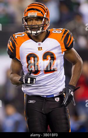 25. November 2010: Cincinnati Bengals Tight End Reggie Kelly (82) im NFL-Spiel zwischen den Cincinnati Bengals und den New York Jets im New Meadowlands Stadium in East Rutherford, New Jersey. The Jets Beat the Bengals, 26.-10.(Bild: © Chris Szagola/Cal Sport Media/ZUMAPRESS.com) Stockfoto
