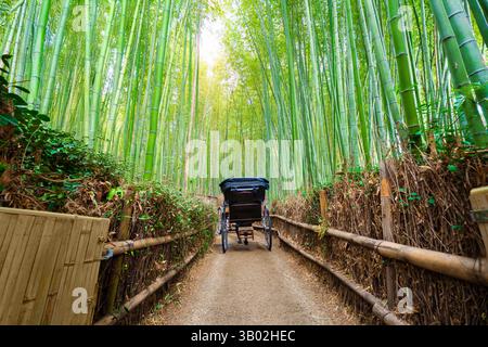 Traditionelle Reichsscha im üppig grünen Bambuswald von Arashiyama mit Sonnenlicht in Kyoto, Japan Stockfoto
