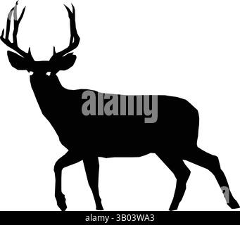 Majestätische Silhouette eines Hirsches mit großen Geweihen in der Wildnis Stock Vektor