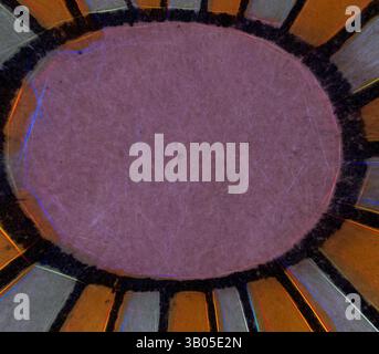 Ein abstraktes Design mit konzentrischen Bändern, die nach außen ausstrahlen, mit einer zentralen ovalen Form, die von kontrastierenden Mustern umgeben ist. Die Kanten zeigen eine Mischung aus lebendigen Farbtönen, die einen auffälligen visuellen Effekt erzeugen. Ein kreisförmiges Design mit einem zentralen violetten Bereich, der von strahlenden Linien in warmen Tönen umgeben ist, sorgt für einen Sonneneffekt. Der äußere Ring zeigt abwechselnde dunkle und helle Segmente, was zu einer lebendigen und zugleich harmonischen Optik beiträgt. Klassische Kunst mit einem modernen Twist von Artotop, transformierte assyrische und persische Ornamente, klassische Kunst mit einem modernen Twist von Artotop Stockfoto