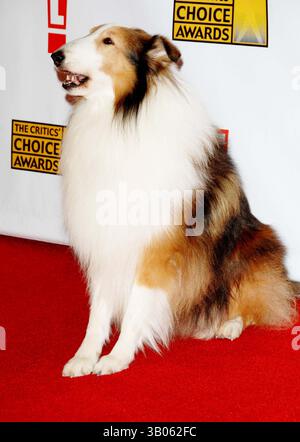 12. JANUAR 2007 - HOLLYWOOD, KALIFORNIEN, USA - K51104DL.DIE RUNDFUNKKRITIKVEREINE, 12. JÄHRLICHE KRITIKERAUSWAHL, SANTA MONICA CIVIC AUDITORIUM, SANTA MONICA CA.1-12-07. - 2007.BILD: LASSIE(Foto: © Dave Longendyke/Globe Photos/ZUMAPRESS.com) Stockfoto