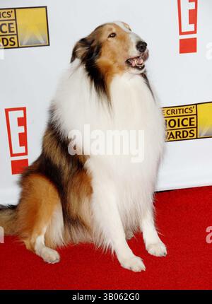 12. JANUAR 2007 - HOLLYWOOD, KALIFORNIEN, USA - K51104DL.DIE RUNDFUNKKRITIKVEREINE, 12. JÄHRLICHE KRITIKERAUSWAHL, SANTA MONICA CIVIC AUDITORIUM, SANTA MONICA CA.1-12-07. - 2007.BILD: LASSIE(Foto: © Dave Longendyke/Globe Photos/ZUMAPRESS.com) Stockfoto
