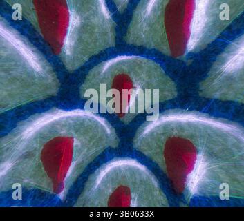 Ein farbenfrohes und abstraktes Muster mit geschwungenen Formen in Grün und Blau, durchsetzt mit leuchtenden roten Akzenten, die eine dynamische visuelle Komposition schaffen. Ein kreisförmiges Design mit einem sich wiederholenden Muster stilisierter Fanformen in lebhaften Farben, die Grün-, Blau- und Rot-Akzente kombinieren, um einen auffälligen visuellen Rhythmus zu kreieren. Klassische Kunst mit einem modernen Twist von Artotop, transformiertes chinesisches Ornament, klassische Kunst mit einem modernen Twist von Artotop Stockfoto