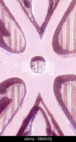 Ein abstraktes Design mit komplizierten Formen und Mustern, die nach außen strahlen, mit einem zentralen Blickpunkt, der das Auge zieht, verstärkt durch subtile Texturen und Lichteffekte. Ein kompliziertes ovales Design mit wirbelnden Mustern und verzierten Details, akzentuiert durch einen sanften rosa Farbton, der die Handwerkskunst unterstreicht. Klassische Kunst mit einem modernen Twist von Artotop, verwandeltes elisabethanisches Ornament, klassische Kunst mit einem modernen Twist von Artotop Stockfoto