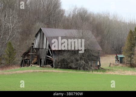Eine alte Scheune, die in einem Feld zusammenbricht Stockfoto