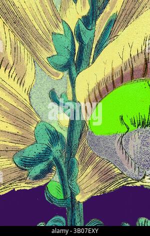 Eine lebendige Pflanze aus nächster Nähe mit detaillierten grünen Blättern und strukturierten Blütenblättern vor einem kontrastreichen farbenfrohen Hintergrund, der ihre auffälligen Merkmale unterstreicht. Eine lebendige Illustration eines botanischen Exemplars mit komplexen Details einer blühenden Pflanze, die lebendige grüne Knospen und zarte Blütenblätter vor einem satten violetten Hintergrund zeigt. Klassische Kunst mit einem modernen Twist von Artotop, verwandeltes Antirrhinum Majus, Common Snapdragon, klassische Kunst mit einem modernen Twist von Artotop Stockfoto