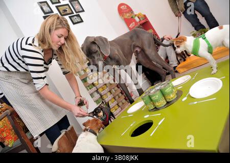 16. November 2010 - London, England, Vereinigtes Königreich - das erste Pop-up-Doggy-Diner des Vereinigten Königreichs öffnet seine Türen für sechs Wochen vor Weihnachten. Lily's Kitchen Diner liegt neben dem wöchentlich stattfindenden Pimlico Road Farmers' Market und ist der erste Freizeitort für Hunde. An sieben Tagen in der Woche werden Hunde-Dinner (sowie Frühstück und Mittagessen) angeboten. Teilnehmende verwöhnte Hunde können auch eine spezielle Snooze Zone, einen Toben & RIP Spielbereich, eine Belly-Rub Bar genießen, während ein Kräuterkundiger, Hundescheister und ein Ernährungsberater mit Gesundheitstipps, Tickettipps und einem Mutt MOT zur Verfügung stehen. Harvey der große Däne und Michael Stockfoto