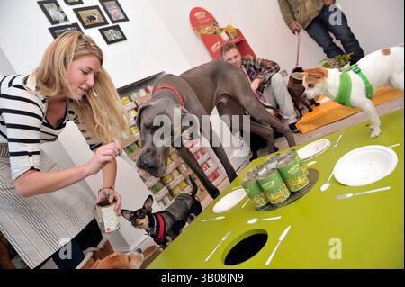 16. November 2010 - London, England, Vereinigtes Königreich - das erste Pop-up-Doggy-Diner des Vereinigten Königreichs öffnet seine Türen für sechs Wochen vor Weihnachten. Lily's Kitchen Diner liegt neben dem wöchentlich stattfindenden Pimlico Road Farmers' Market und ist der erste Freizeitort für Hunde. An sieben Tagen in der Woche werden Hunde-Dinner (sowie Frühstück und Mittagessen) angeboten. Teilnehmende verwöhnte Hunde können auch eine spezielle Snooze Zone, einen Toben & RIP Spielbereich, eine Belly-Rub Bar genießen, während ein Kräuterkundiger, Hundescheister und ein Ernährungsberater mit Gesundheitstipps, Tickettipps und einem Mutt MOT zur Verfügung stehen. Harvey der große Däne und Michael Stockfoto