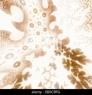 Ein kompliziertes Muster mit wirbelnden Formen und zarten Texturen, das ein Gefühl von Tiefe und Bewegung erzeugt und an ein skurriles abstraktes Design erinnert. Ein kompliziertes Kreismuster mit zarten floralen und abstrakten Mustern, mit einer Mischung aus weichen Erdtönen und subtilen Texturen. Klassische Kunst mit einem modernen Twist von Artotop, transformierte französische Stoffe, erste Hälfte des 19. Jahrhunderts, klassische Kunst mit einem modernen Twist von Artotop Stockfoto