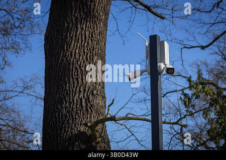 Moderne Überwachungskameras an einem Metallmast in der Nähe von Waldbäumen an klaren sonnigen Tagen installiert. Technologie für öffentliche Sicherheit und Außenüberwachung Stockfoto
