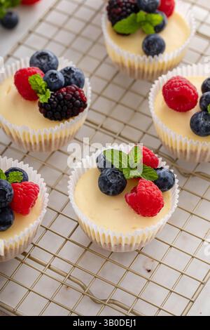 Mini-Käsekuchen in einer Muffinpfanne gebacken mit frischen Beeren Stockfoto