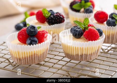 Mini-Käsekuchen in einer Muffinpfanne gebacken mit frischen Beeren Stockfoto
