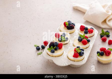 Mini-Käsekuchen in einer Muffinpfanne gebacken mit frischen Beeren Stockfoto