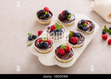 Mini-Käsekuchen in einer Muffinpfanne gebacken mit Schokoladenganache und frischen Beeren Stockfoto