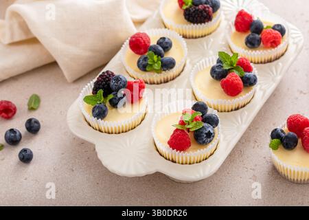 Kleine Käsekuchen in einer Muffinpfanne gebacken mit frischen Beeren, süße Dessertidee Stockfoto