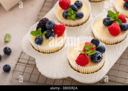 Kleine Käsekuchen in einer Muffinpfanne gebacken mit frischen Beeren, süße Dessertidee Stockfoto