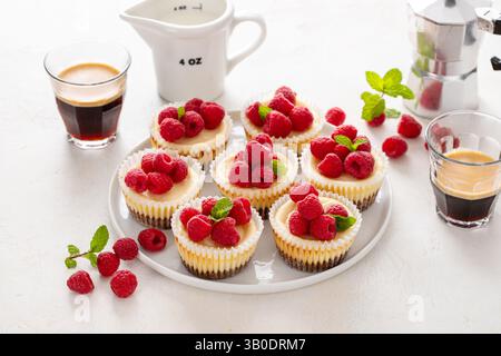 Klassischer New Yorker Käsekuchen in einzelnen Tassen mit frischer Himbeere und Kaffee Stockfoto