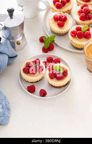 Klassischer New Yorker Käsekuchen in einzelnen Tassen mit frischer Himbeere und Kaffee Stockfoto